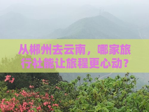 从郴州去云南，哪家旅行社能让旅程更心动？