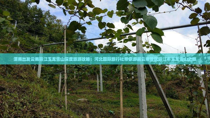 渭南出发云南丽江玉龙雪山深度旅游攻略：河北国际旅行社带你游遍云南景区丽江市玉龙雪山之旅