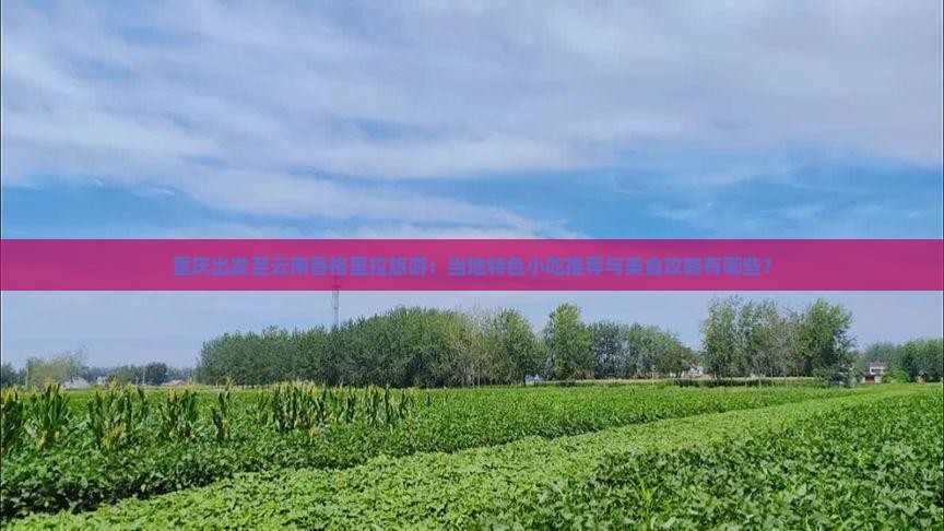 重庆出发至云南香格里拉旅游：当地特色小吃推荐与美食攻略有哪些？