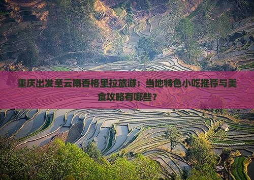 重庆出发至云南香格里拉旅游：当地特色小吃推荐与美食攻略有哪些？