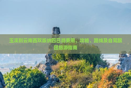 玉溪到云南西双版纳四日游费用、攻略、路线及自驾跟团旅游指南
