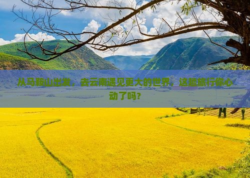 从马鞍山出发，去云南遇见更大的世界，这趟旅行你心动了吗？