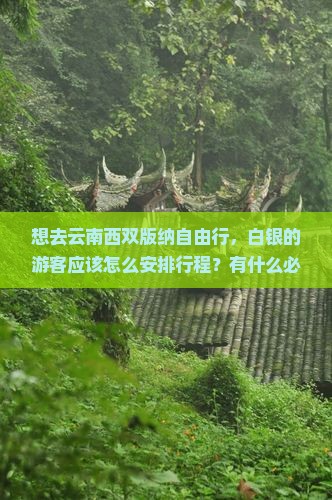 想去云南西双版纳自由行，白银的游客应该怎么安排行程？有什么必看景点和特色体验？