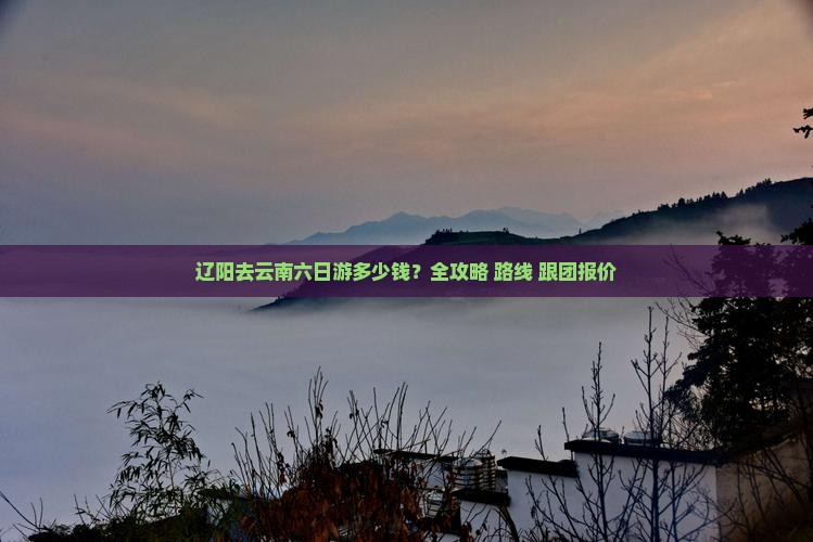辽阳去云南六日游多少钱？全攻略+路线+跟团报价