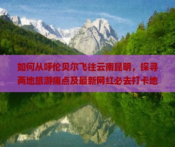 如何从呼伦贝尔飞往云南昆明，探寻两地旅游痛点及最新网红必去打卡地？