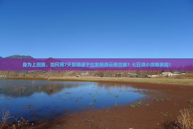 身为上班族，如何用7天假期遂宁出发畅游云南古城？七日游小攻略来啦！