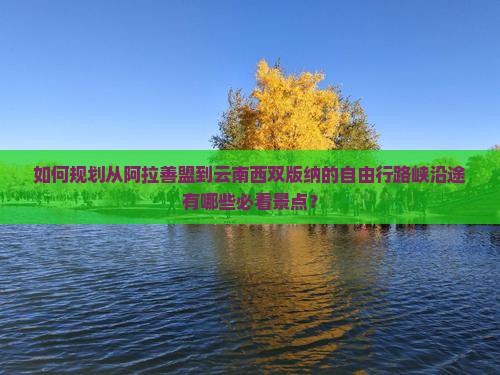 如何规划从阿拉善盟到云南西双版纳的自由行路峡沿途有哪些必看景点？