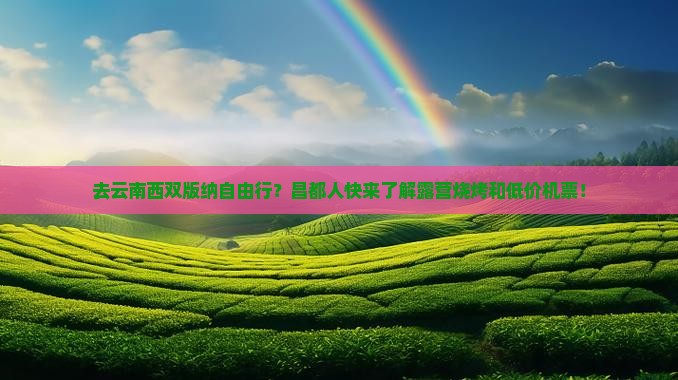 去云南西双版纳自由行？昌都人快来了解露营烧烤和低价机票！