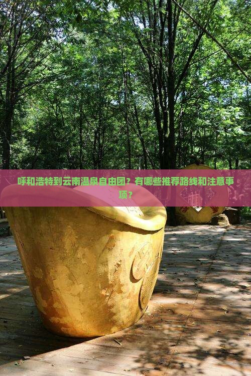 呼和浩特到云南温泉自由团？有哪些推荐路线和注意事项？