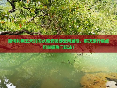 如何利用五天时间从雅安畅游云南昆明，解决旅行痛点和掌握热门玩法？