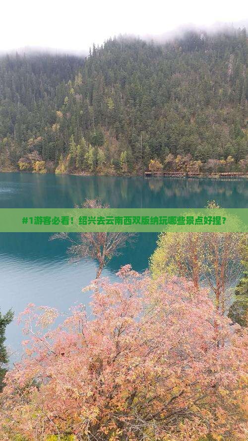 #1游客必看！绍兴去云南西双版纳玩哪些景点好捏？