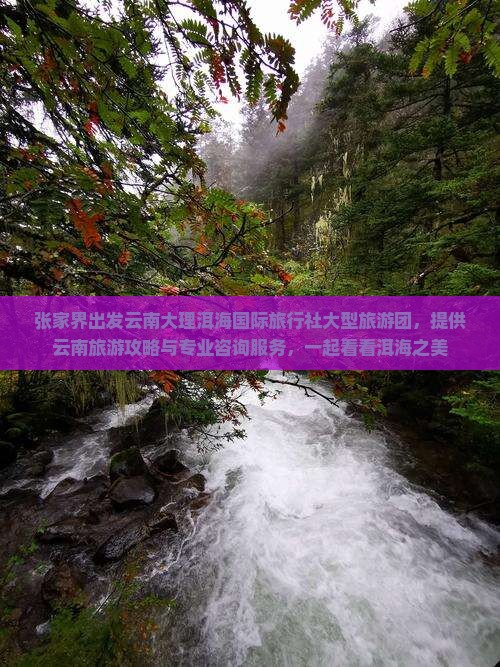 张家界出发云南大理洱海国际旅行社大型旅游团，提供云南旅游攻略与专业咨询服务，一起看看洱海之美