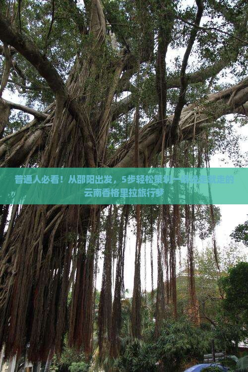 普通人必看！从邵阳出发，5步轻松策划一场说走就走的云南香格里拉旅行梦