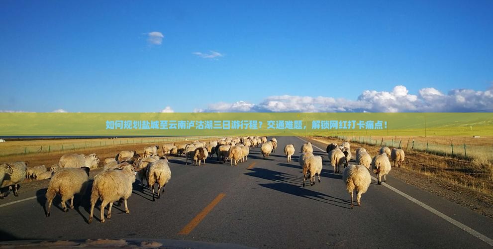 如何规划盐城至云南泸沽湖三日游行程？交通难题，解锁网红打卡痛点！