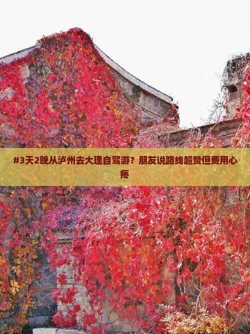 #3天2晚从泸州去大理自驾游？朋友说路线超赞但费用心疼