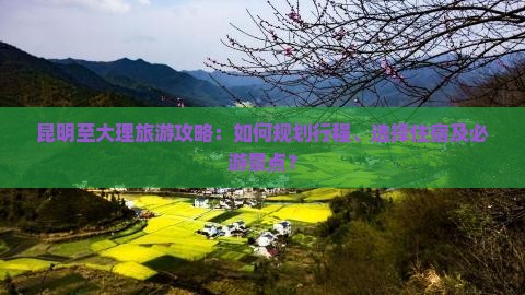 昆明至大理旅游攻略：如何规划行程、选择住宿及必游景点？