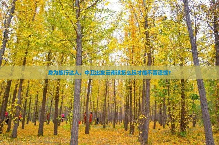 身为旅行达人，中卫出发云南该怎么玩才能不留遗憾？
