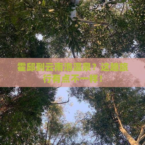 霍邱到云南泡温泉？这趟旅行有点不一样！