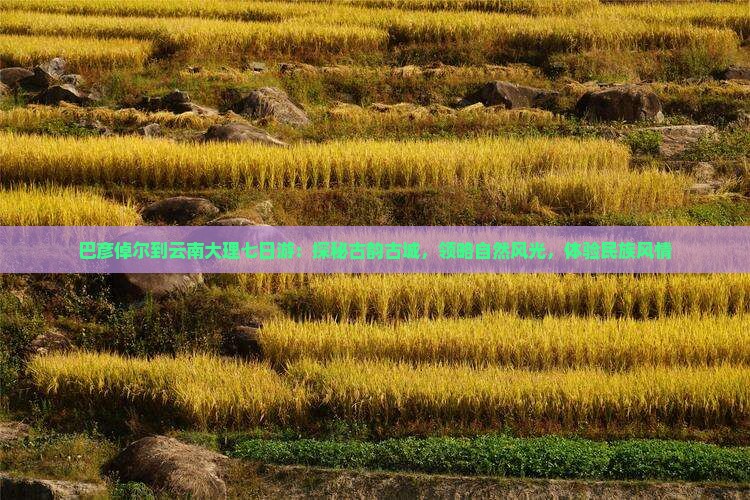 巴彦倬尔到云南大理七日游：探秘古韵古城，领略自然风光，体验民族风情