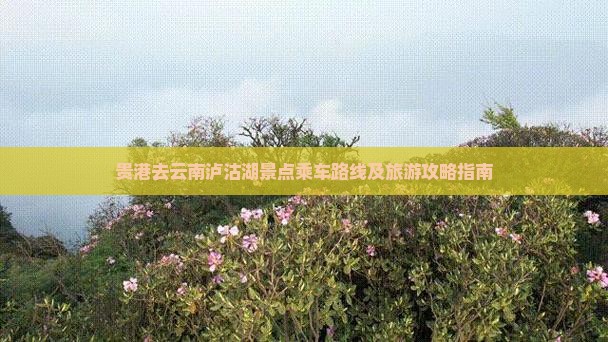 贵港去云南泸沽湖景点乘车路线及旅游攻略指南