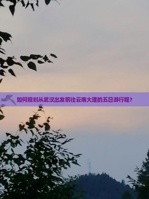 如何规划从武汉出发前往云南大理的五日游行程？