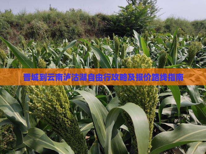 晋城到云南泸沽湖自由行攻略及报价路线指南