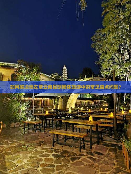如何解决崇左至云南昆明团体旅游中的常见痛点问题？