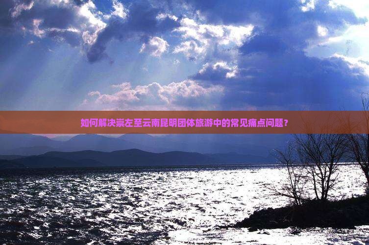 如何解决崇左至云南昆明团体旅游中的常见痛点问题？