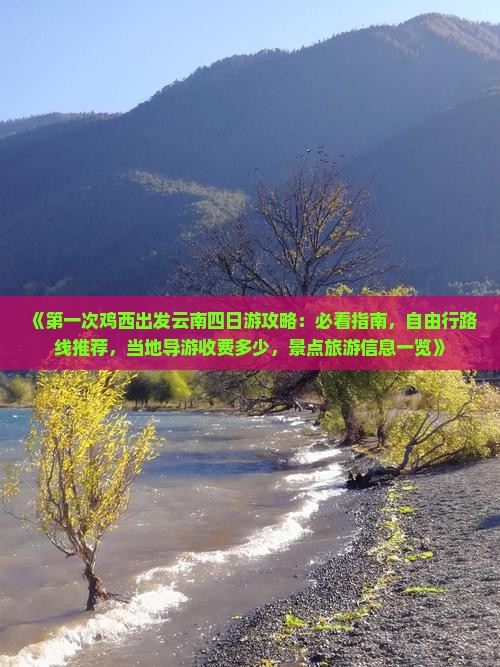 《第一次鸡西出发云南四日游攻略：必看指南，自由行路线推荐，当地导游收费多少，景点旅游信息一览》