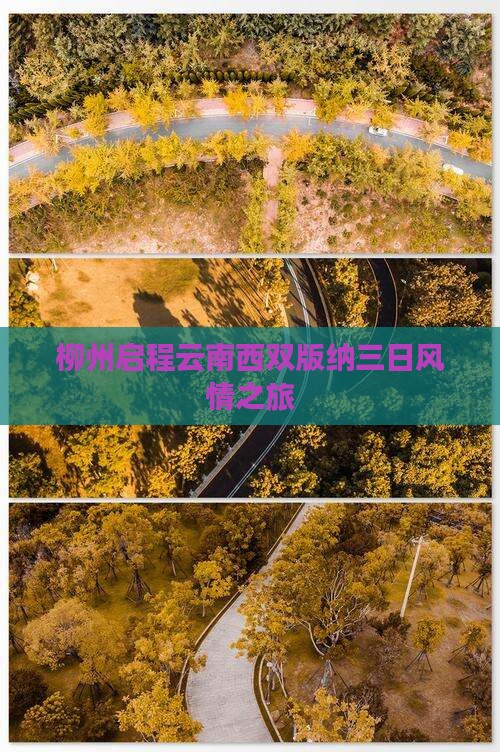 柳州启程云南西双版纳三日风情之旅