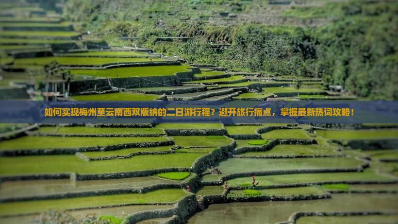 如何实现梅州至云南西双版纳的二日游行程？避开旅行痛点，掌握最新热词攻略！