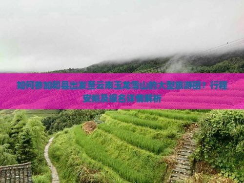 如何参加和县出发至云南玉龙雪山的大型旅游团？行程安排及报名详情解析