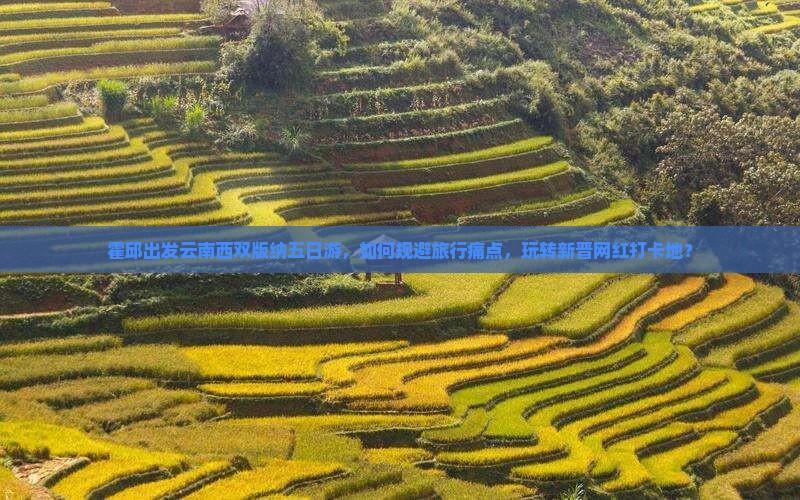 霍邱出发云南西双版纳五日游，如何规避旅行痛点，玩转新晋网红打卡地？