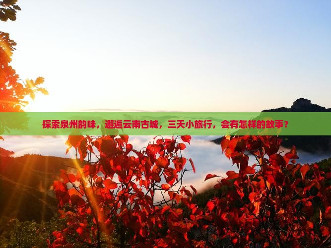 探索泉州韵味，邂逅云南古城，三天小旅行，会有怎样的故事？