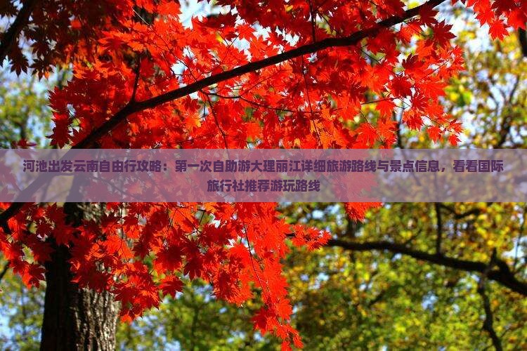 河池出发云南自由行攻略：第一次自助游大理丽江详细旅游路线与景点信息，看看国际旅行社推荐游玩路线