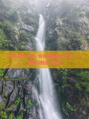 向往云南大理，忻州朋友的心之旅：一场梦幻的远方召唤