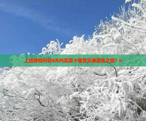 上班族如何在4天内实现十堰至云南温泉之旅？n