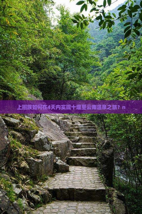 上班族如何在4天内实现十堰至云南温泉之旅？n