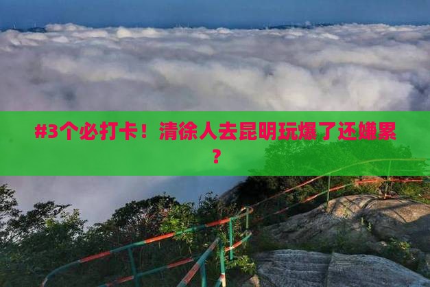 #3个必打卡！清徐人去昆明玩爆了还嫌累？
