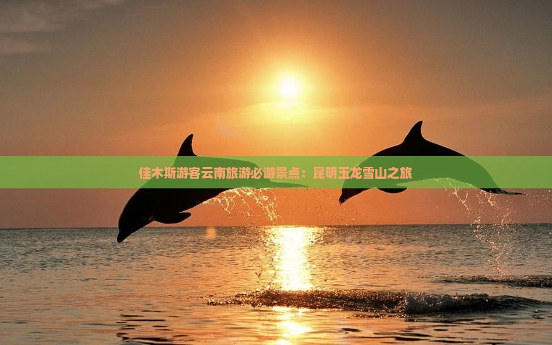 佳木斯游客云南旅游必游景点：昆明玉龙雪山之旅
