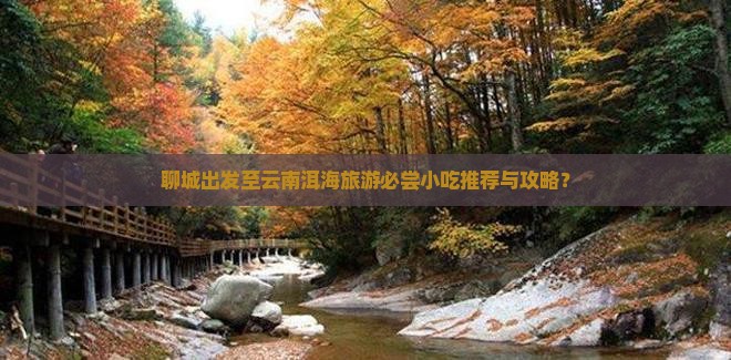 聊城出发至云南洱海旅游必尝小吃推荐与攻略？