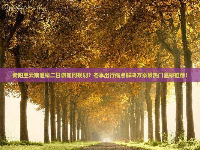 衡阳至云南温泉二日游如何规划？冬季出行痛点解决方案及热门温泉推荐！