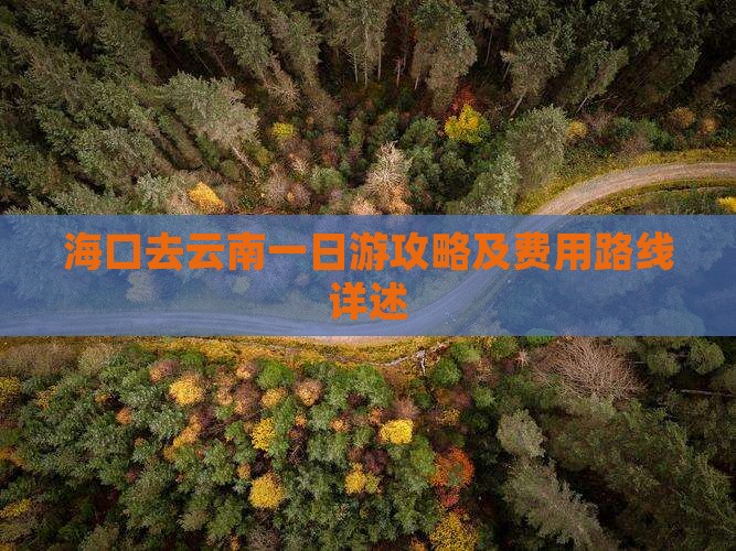 海口去云南一日游攻略及费用路线详述