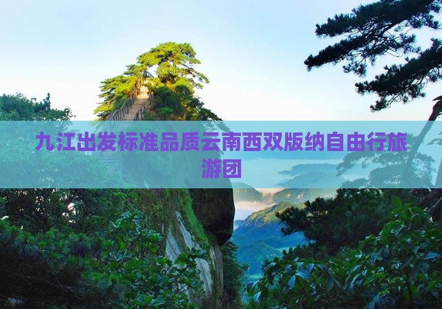 九江出发标准品质云南西双版纳自由行旅游团