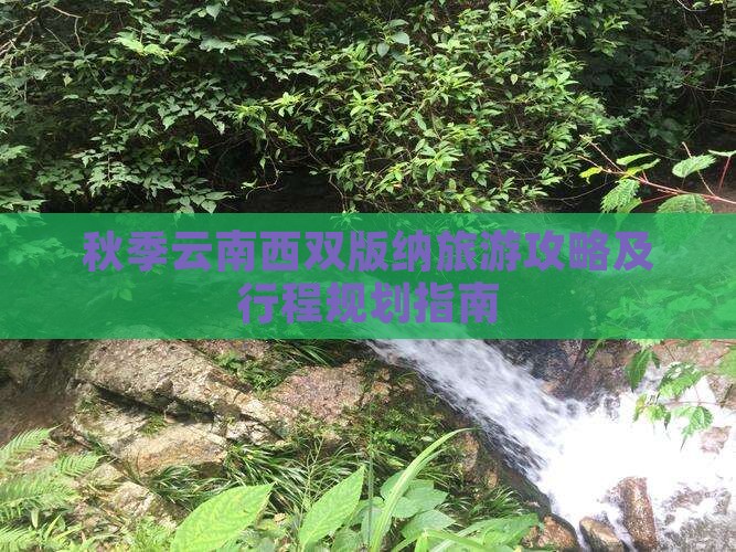 秋季云南西双版纳旅游攻略及行程规划指南