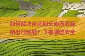 如何解决合肥到云南西双版纳出行难题？下有哪些安全旅行新策略？