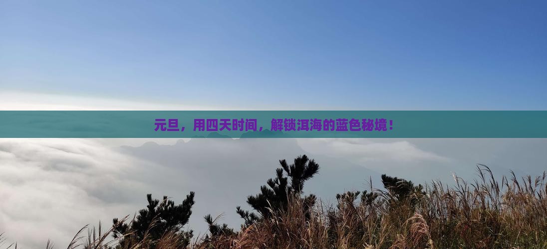 元旦，用四天时间，解锁洱海的蓝色秘境！