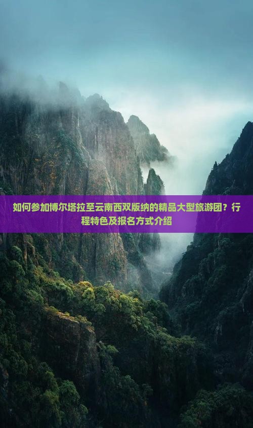 如何参加博尔塔拉至云南西双版纳的精品大型旅游团？行程特色及报名方式介绍