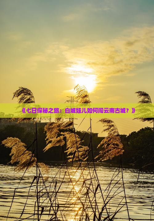 《七日探秘之旅：白城娃儿如何闯云南古城？》