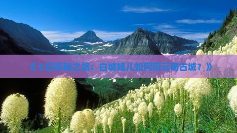 《七日探秘之旅：白城娃儿如何闯云南古城？》